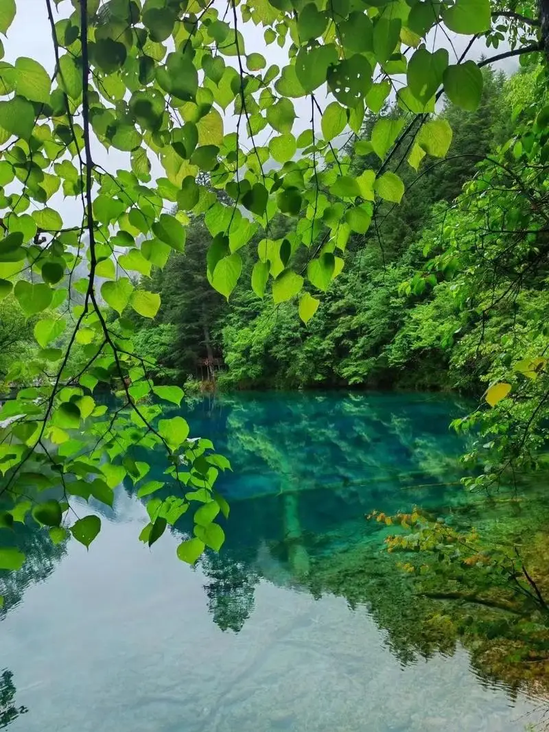 辽源民居天人合一设计理念_辽源传统建筑风水布局_辽源气候形成原因分析