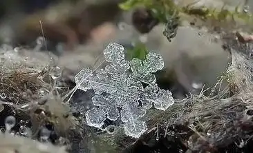 内蒙古东南部暴雪地形因素_包头极端天气常年分布规律_内蒙古通辽暴雪原因