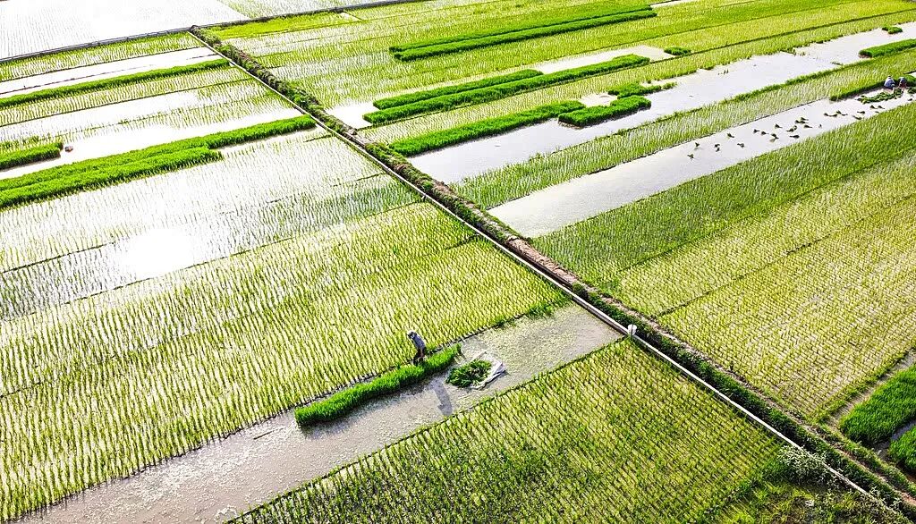 开封极端天气常年分布规律_河南雨带北移现象_河南降雨量增多趋势