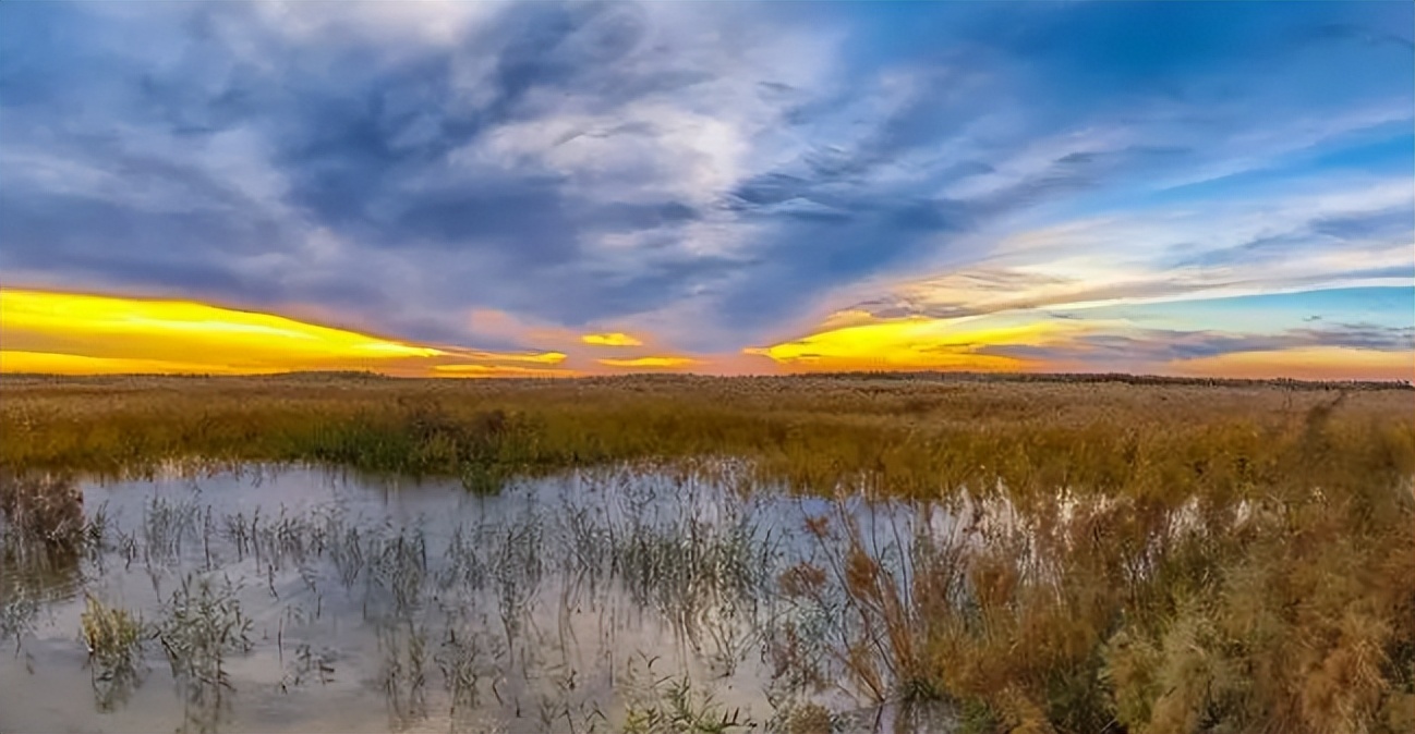 阿拉善地区“十二五”期间生态环境保护政策_内蒙古阿拉善地区生态环境状况_阿拉善常年气候变化规律