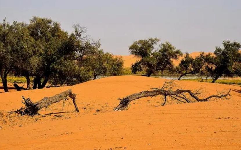 阿拉善常年气候变化规律_阿拉善地区“十二五”期间生态环境保护政策_内蒙古阿拉善地区生态环境状况