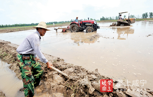咸宁暴雨灾害 防汛抗洪救灾工作 咸宁抗洪抢险_咸宁历年降水数据对比