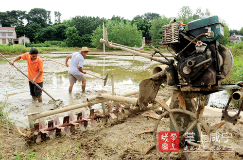 咸宁暴雨灾害 防汛抗洪救灾工作 咸宁抗洪抢险_咸宁历年降水数据对比