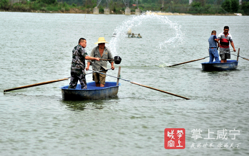 咸宁暴雨灾害 防汛抗洪救灾工作 咸宁抗洪抢险_咸宁历年降水数据对比