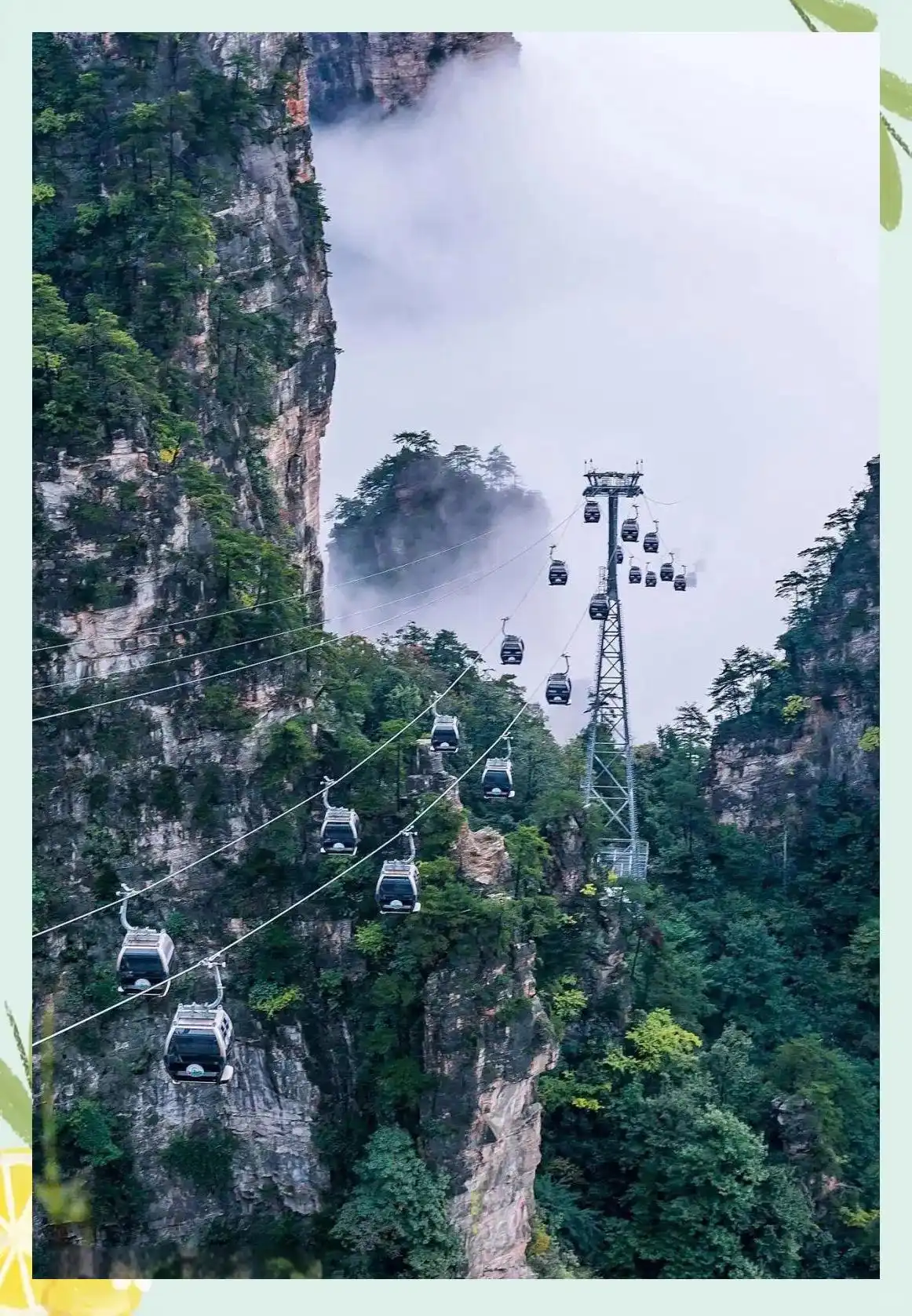 张家界本地气候特征详解_张家界天气成因地形影响_张家界天气变化多端