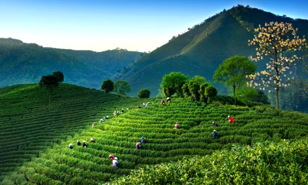 湖州气候形成原因分析