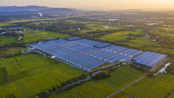 湖州气候形成原因分析_湖州智慧农业发展_湖州数字乡村建设