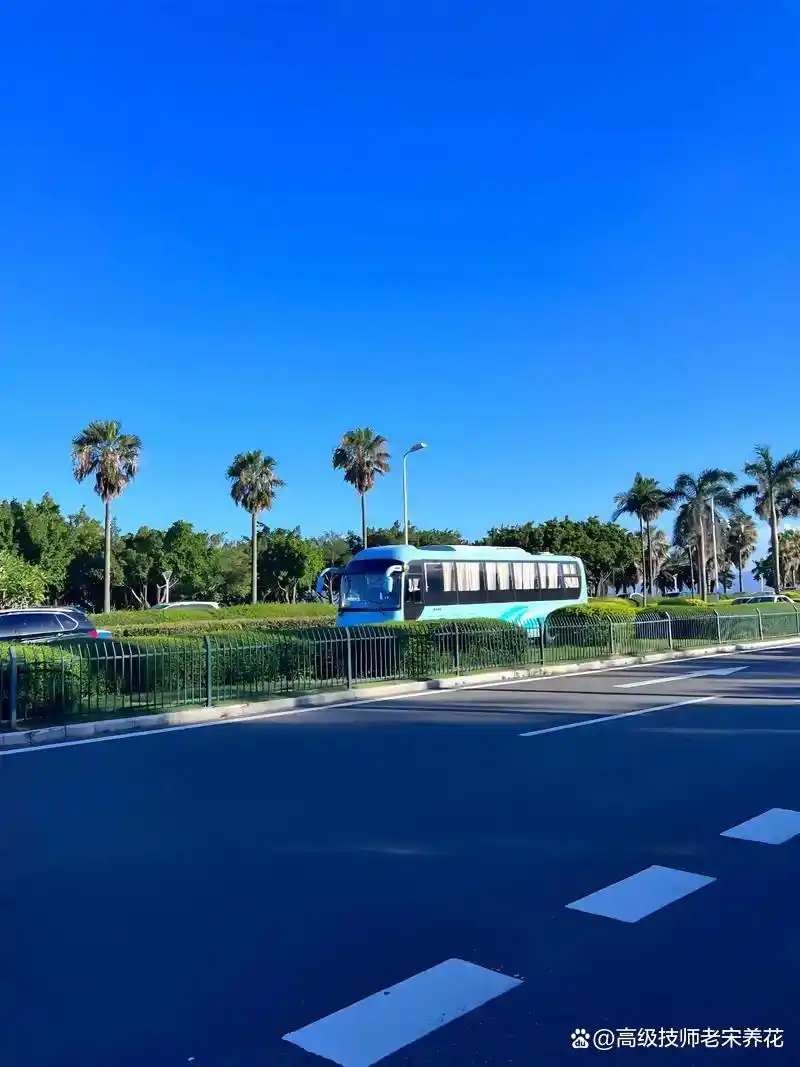 厦门夏季高温潮湿天气_厦门夏季天气特征_厦门极端天气常年分布规律