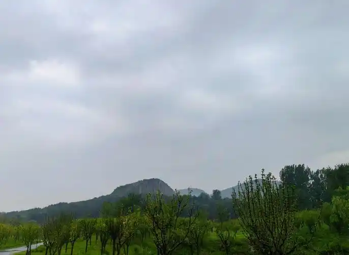 炎热多雨概况_厦门市2024年气候特点_厦门极端天气常年分布规律