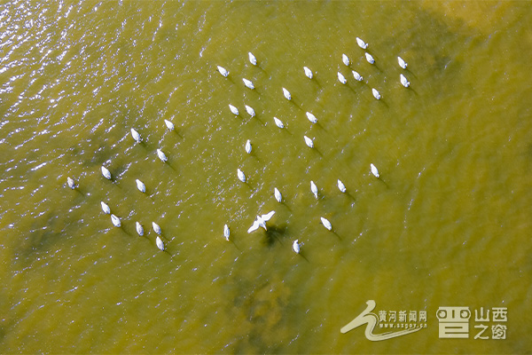 运城盐湖历史文化价值_运城四季气候特点详解_运城盐湖生态保护和产业发展