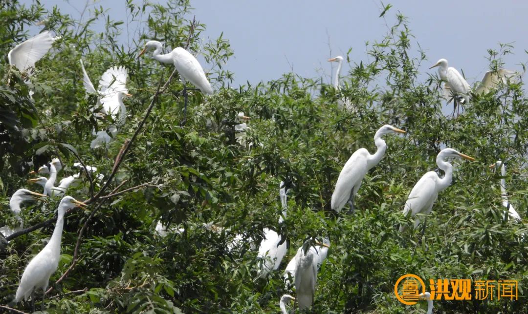 南昌常年气候变化规律_南昌美丽河湖_南昌生态文明