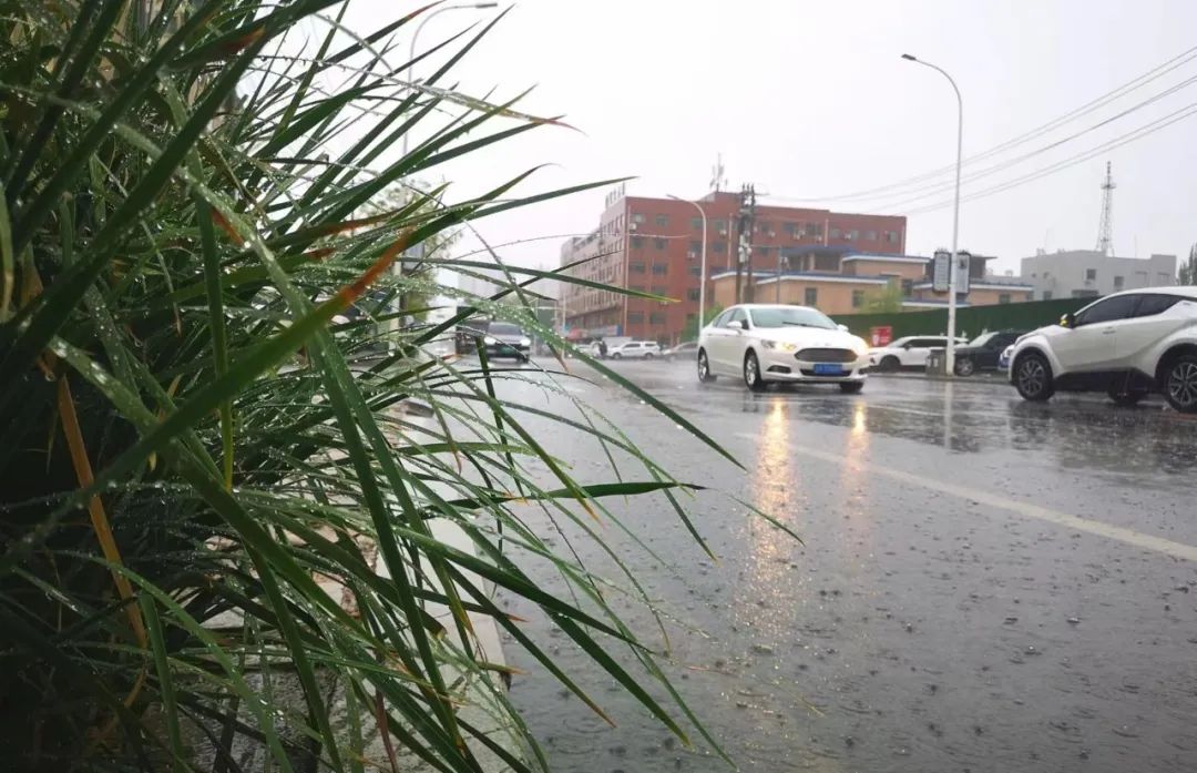 营口本地气候特征详解_营口未来三天天气预报_营口7月22日暴雨天气