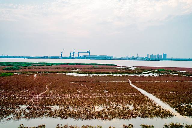 辽宁团山国家级海洋公园旅游攻略_营口西炮台遗址旅游攻略_营口本地气候特征详解